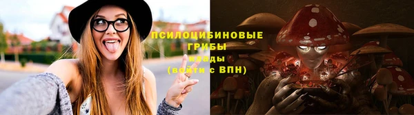 стафф Алзамай