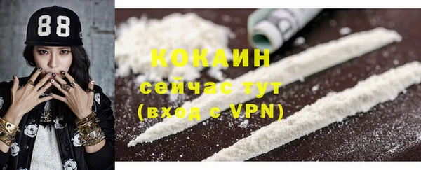 стафф Алзамай