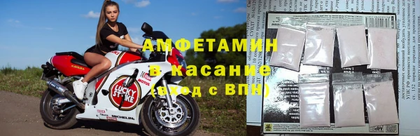 стафф Алзамай