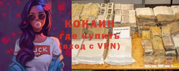 стафф Алзамай