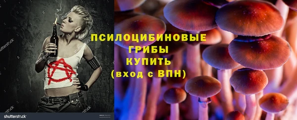 соль курить ск Алексеевка