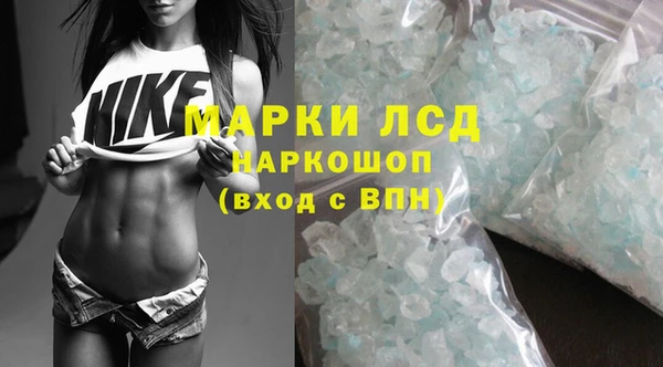 стафф Алзамай