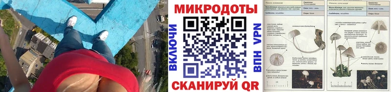мега ссылка  Ревда  Галлюциногенные грибы Psilocybe 